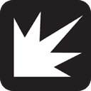 BVM Sports logo