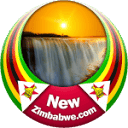 NewZimbabwe.com logo