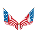 Stars and Stripes logo
