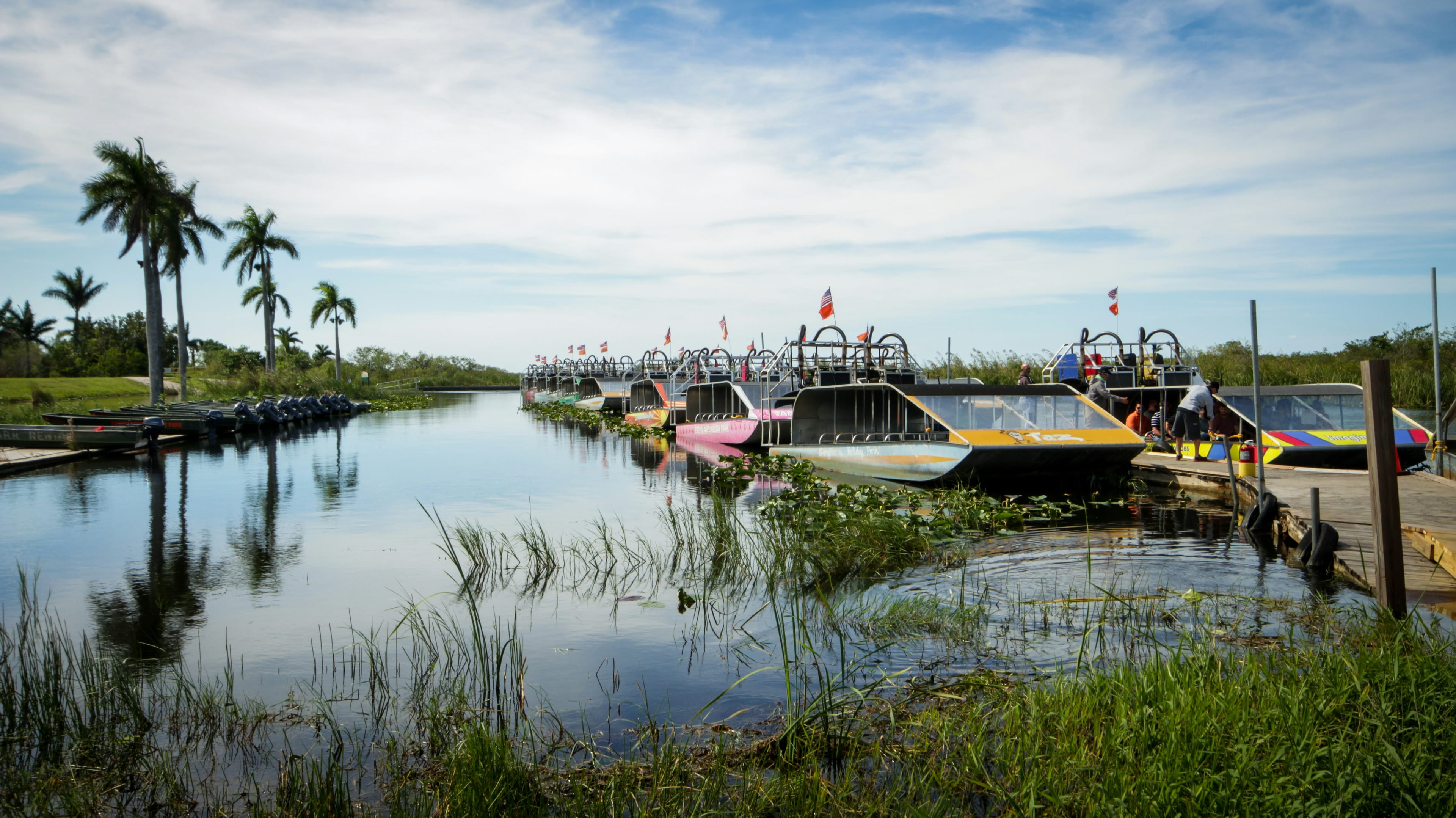 Florida ends online short-term fishing licenses for non-residents