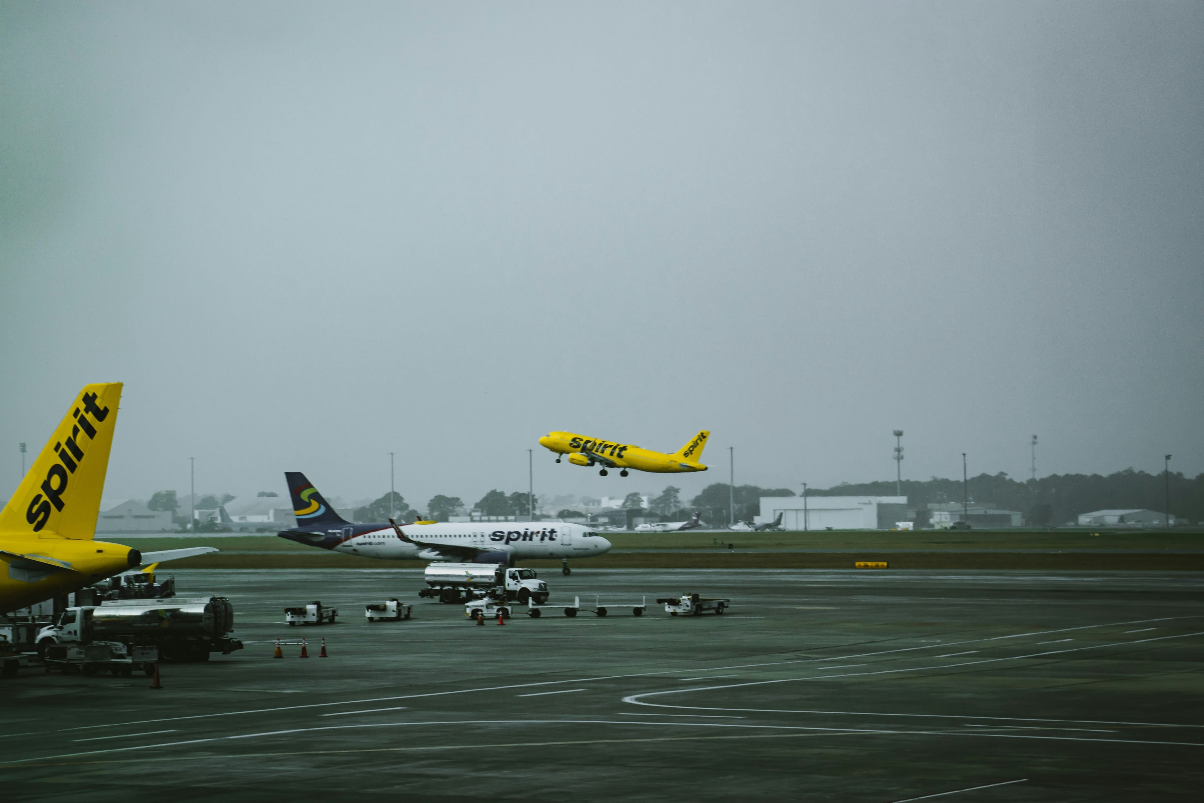 Spirit Airlines Collapse Reignites Debate Over Antitrust Policy