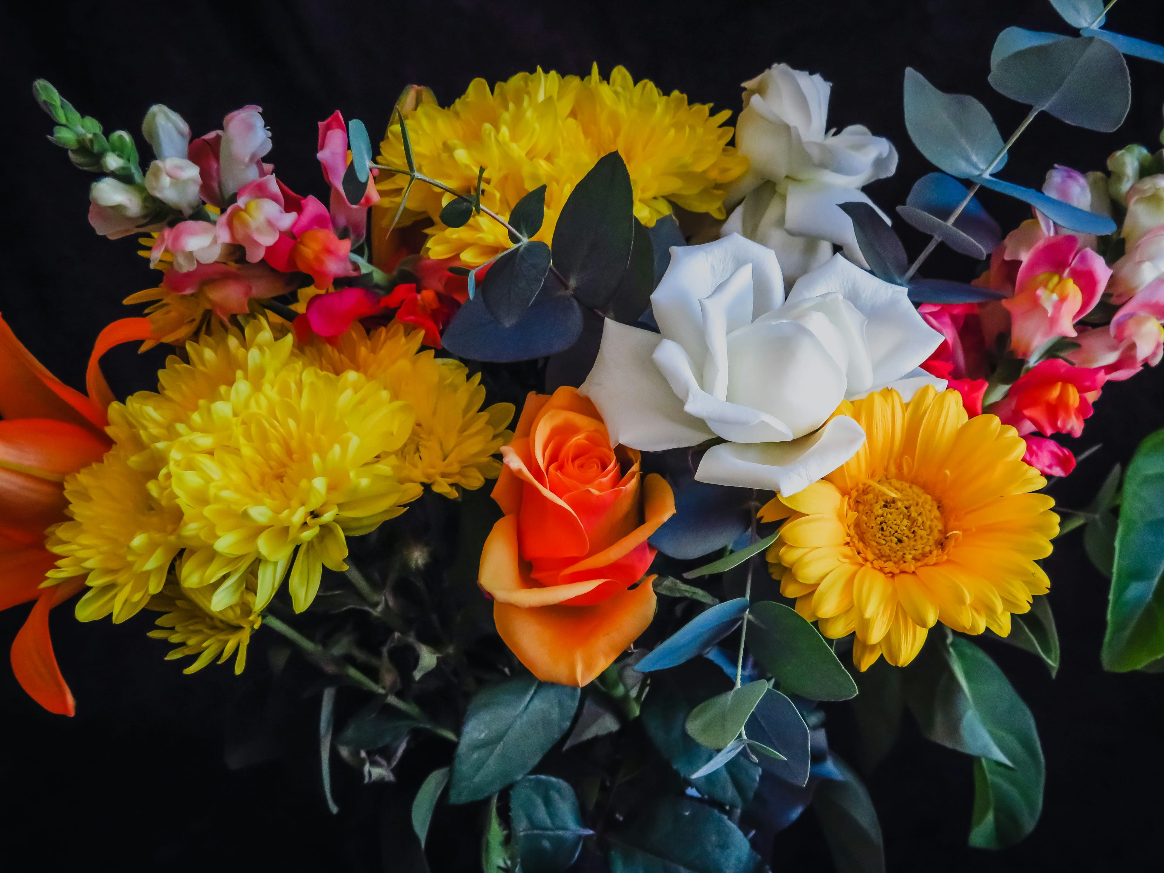 Mother's Day Spending Reflects Broader Shift Toward Year-Round Gifting