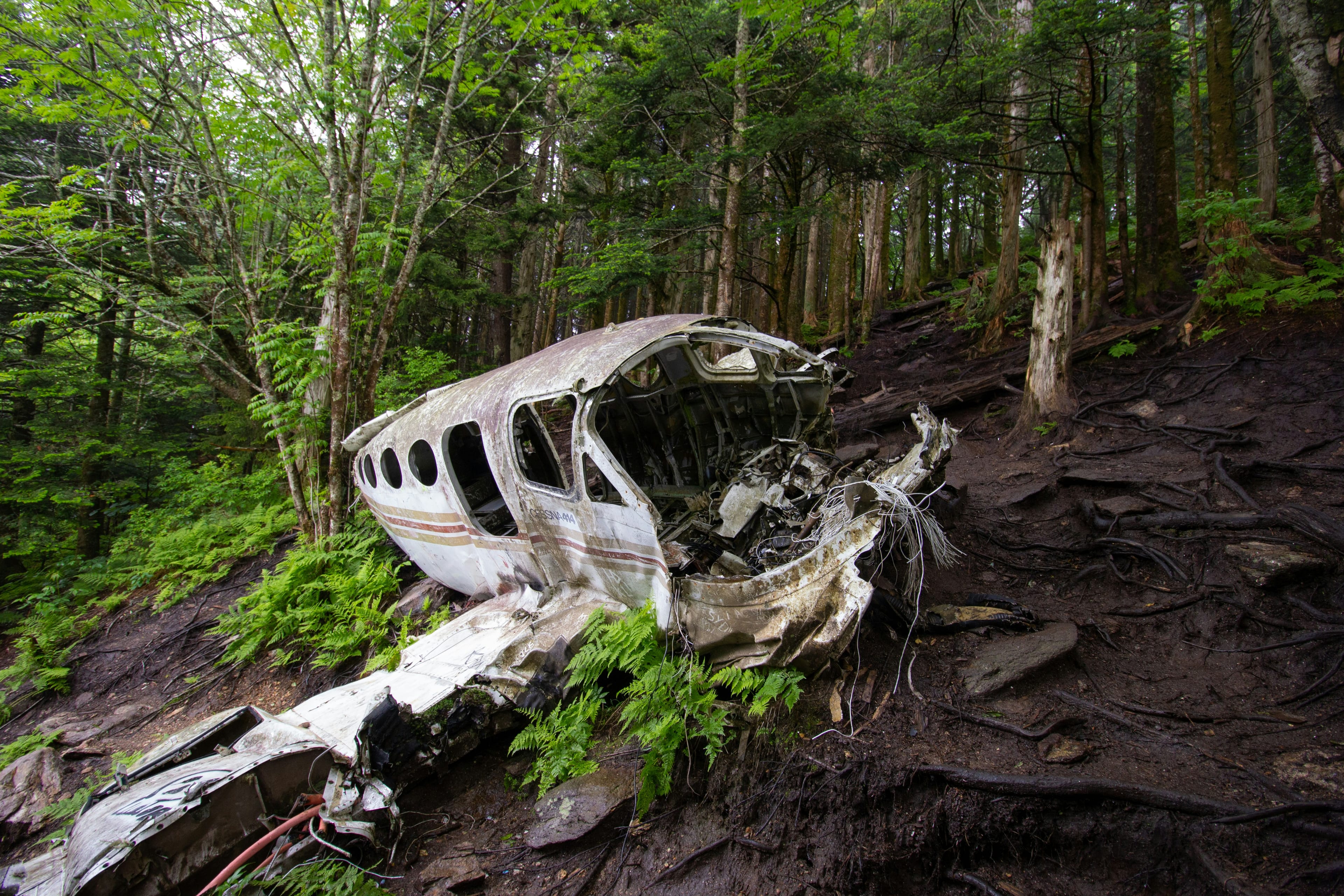 Pilot Killed in Rhode Island Plane Crash Identified as Isaac Seekell, 21