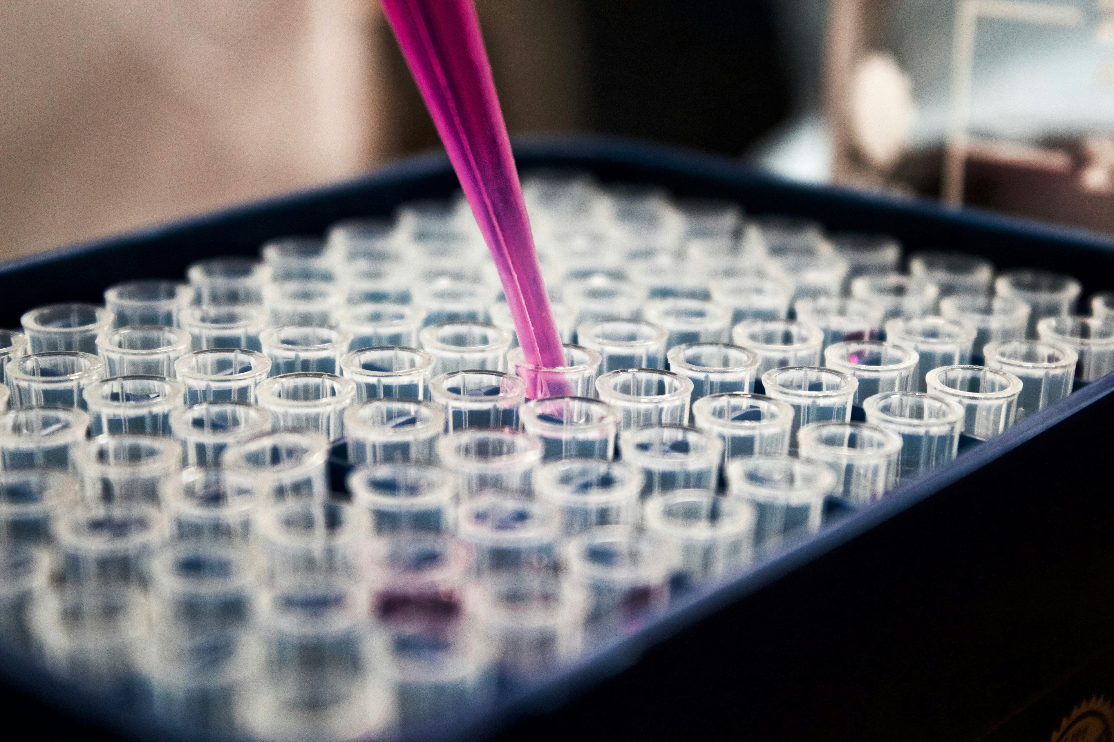 Rhode Island Foundation awards $650K to 26 medical research projects