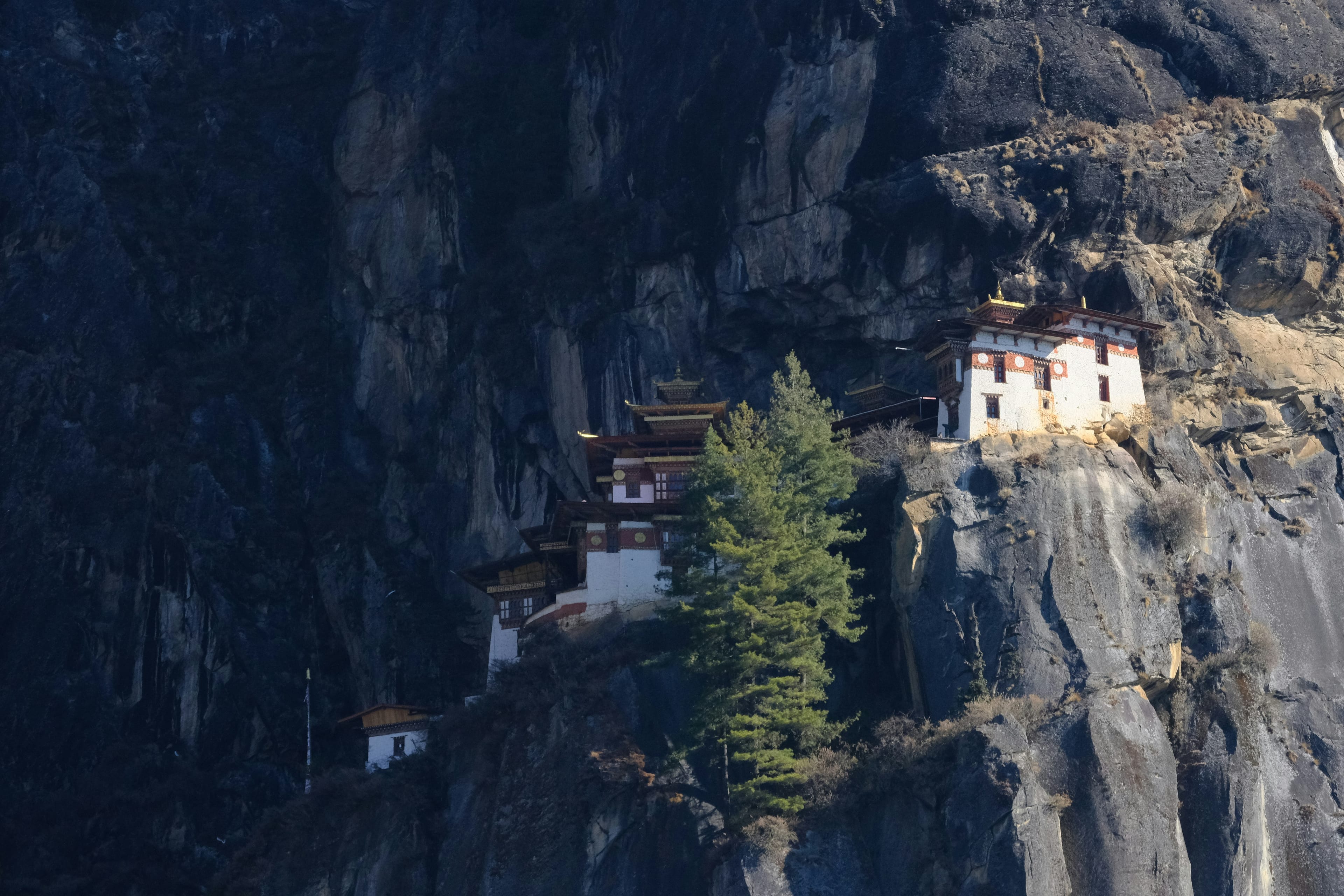 US-born teen lama takes monastic vows in Himalayan foothills