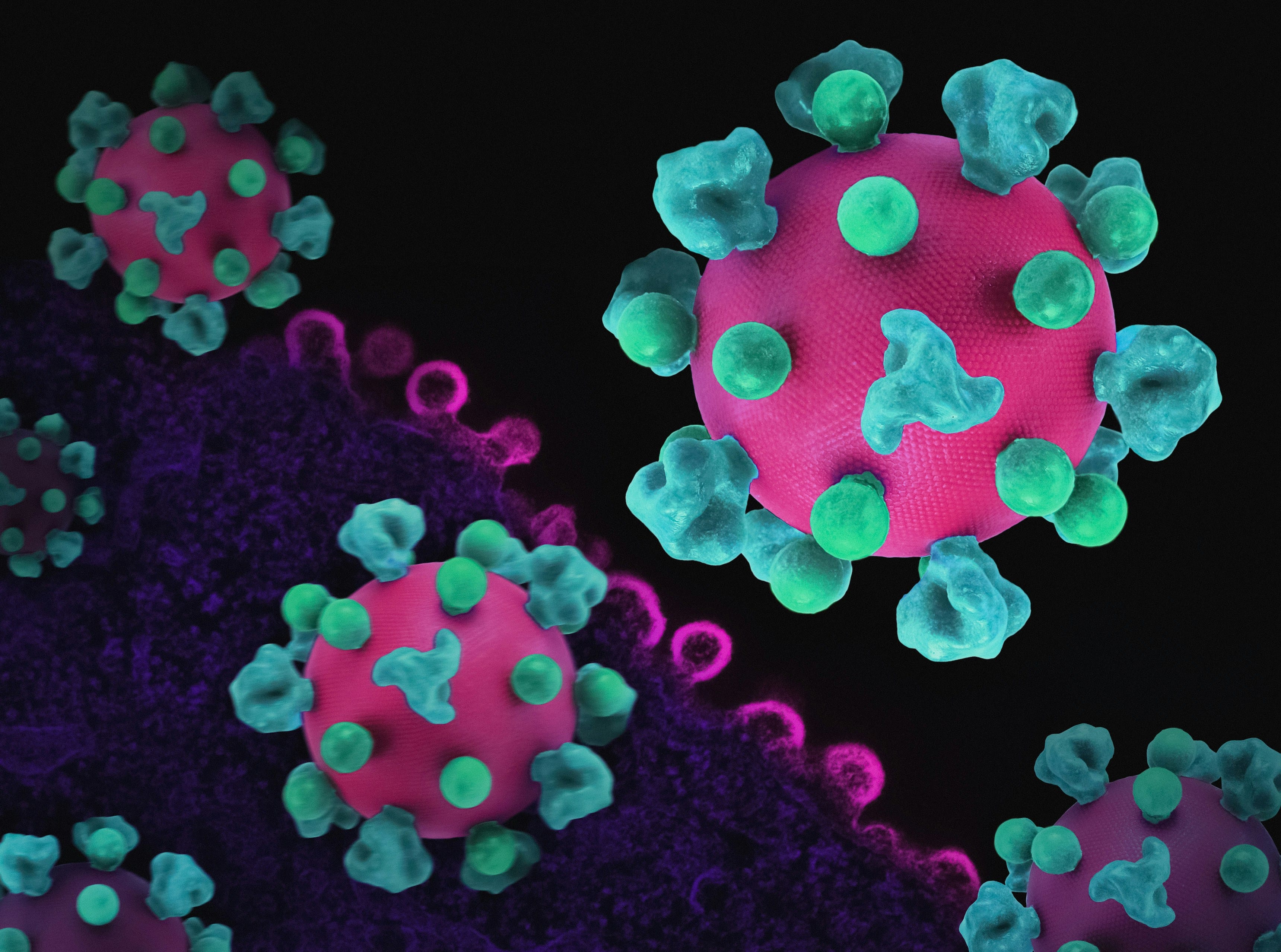 Hantavirus Outbreak on Cruise Ship Raises CDC Readiness Questions